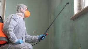 Best Forensic Mold Investigation  in Montrose Ghent, OH