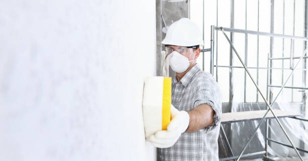 Best Basement Mold Removal  in Montrose Ghent, OH